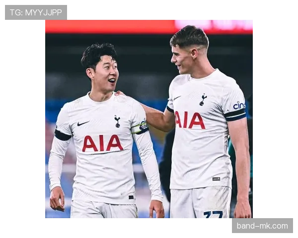 热刺阵容深度解析：精妙布局剑指荣誉新征程