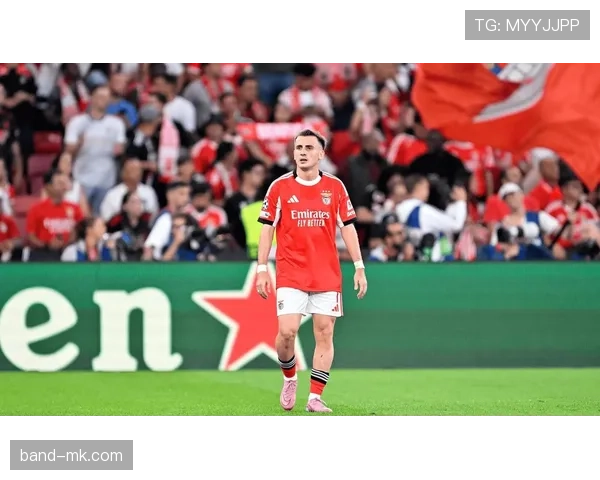 穆里尼奥战术适配欧冠